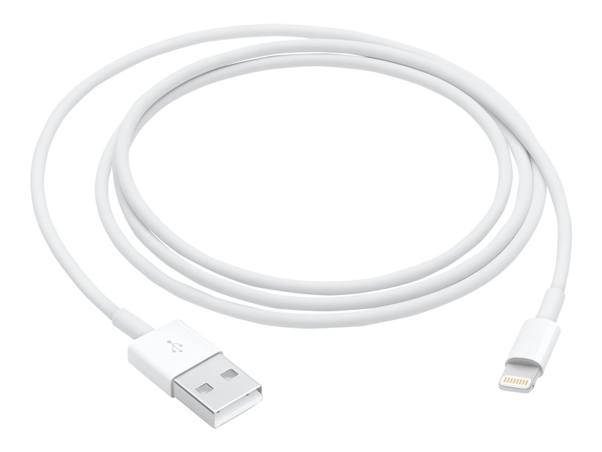 Apple Lightning to USB Cable 1 Meter