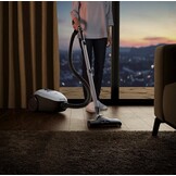 AEG VX82-1-2MG - Stofzuiger met zak