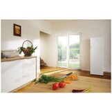 ETNA VV6169NWIT - Vrieskast