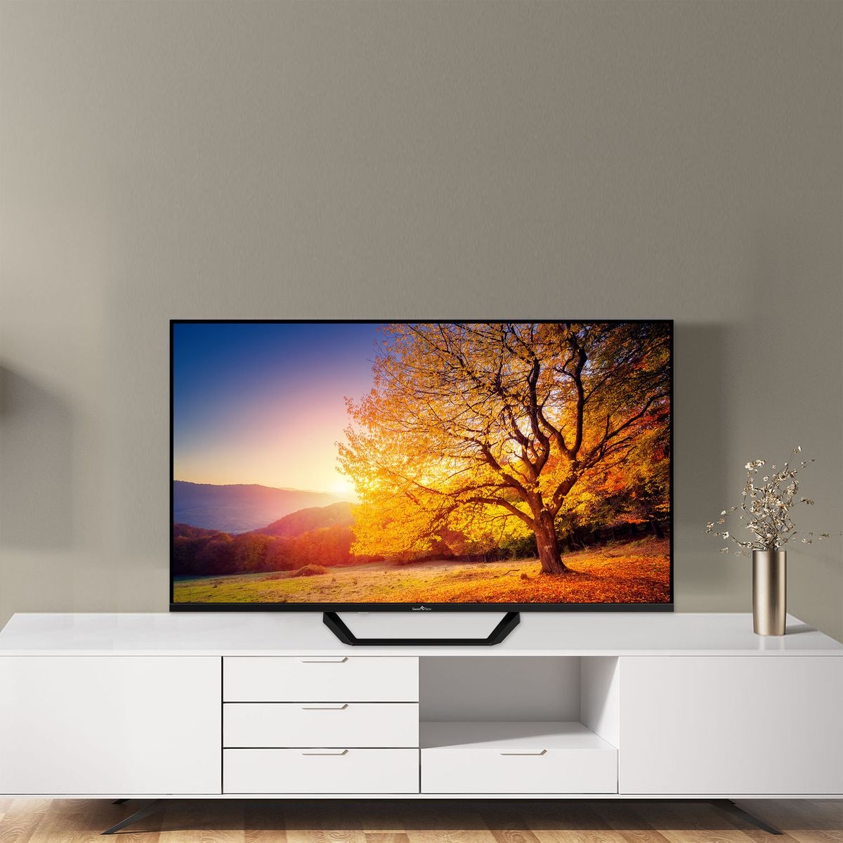 Smart Tech 43QG02V2 - QLED TV