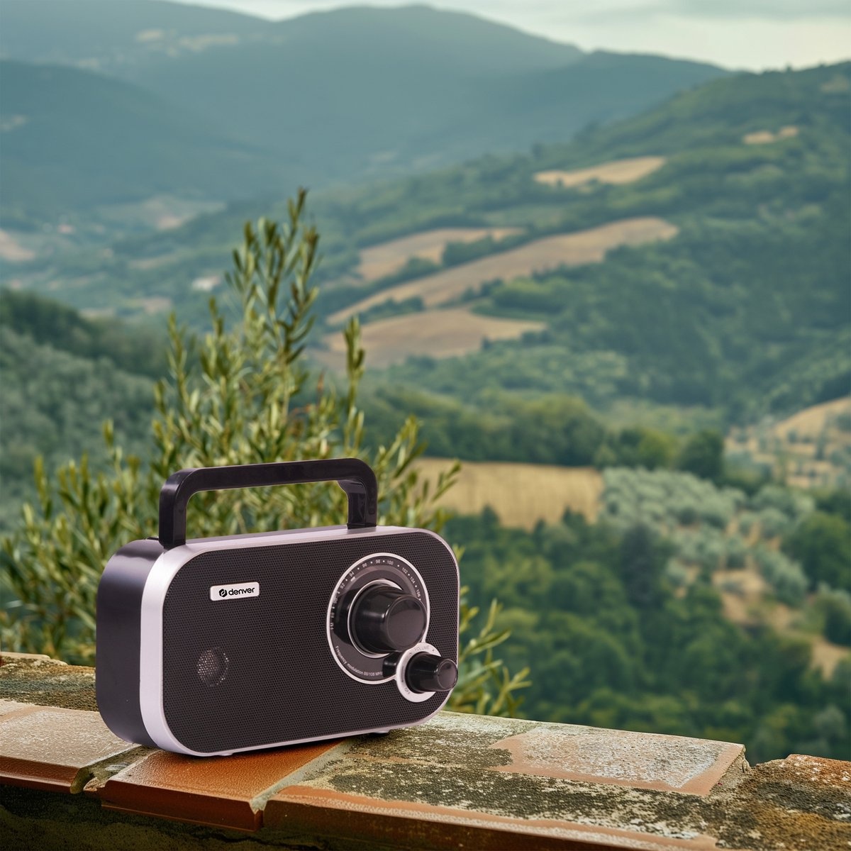 Denver TR-51 Zwart - Radio