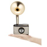 Sangean CP-100D - Radio