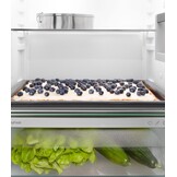 Liebherr IRSe 3900-22 - Inbouw koelkast