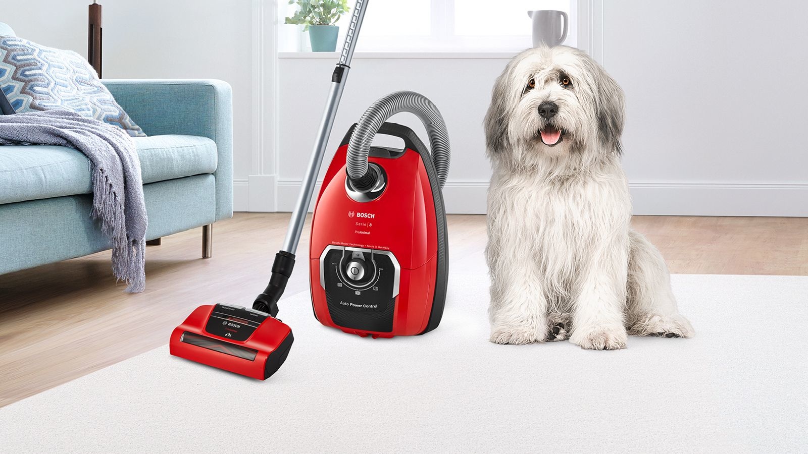 Bosch In'genius ProAnimal BGB8PET1 - Stofzuiger met zak