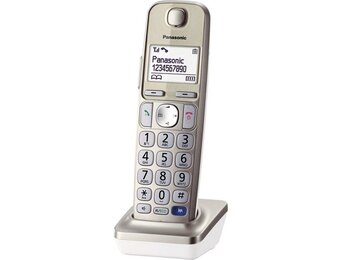 Panasonic KX-TGEA20EXN - Dect telefoon