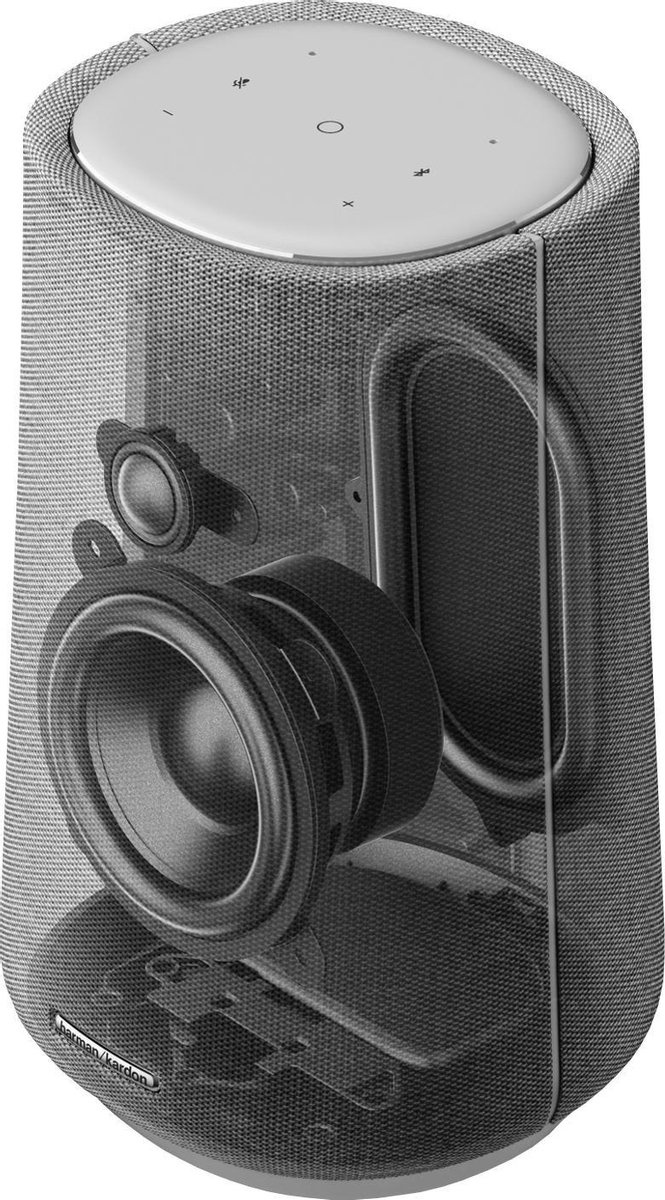 Harman Kardon Citation 100 MKII Grijs - Draadloze speaker