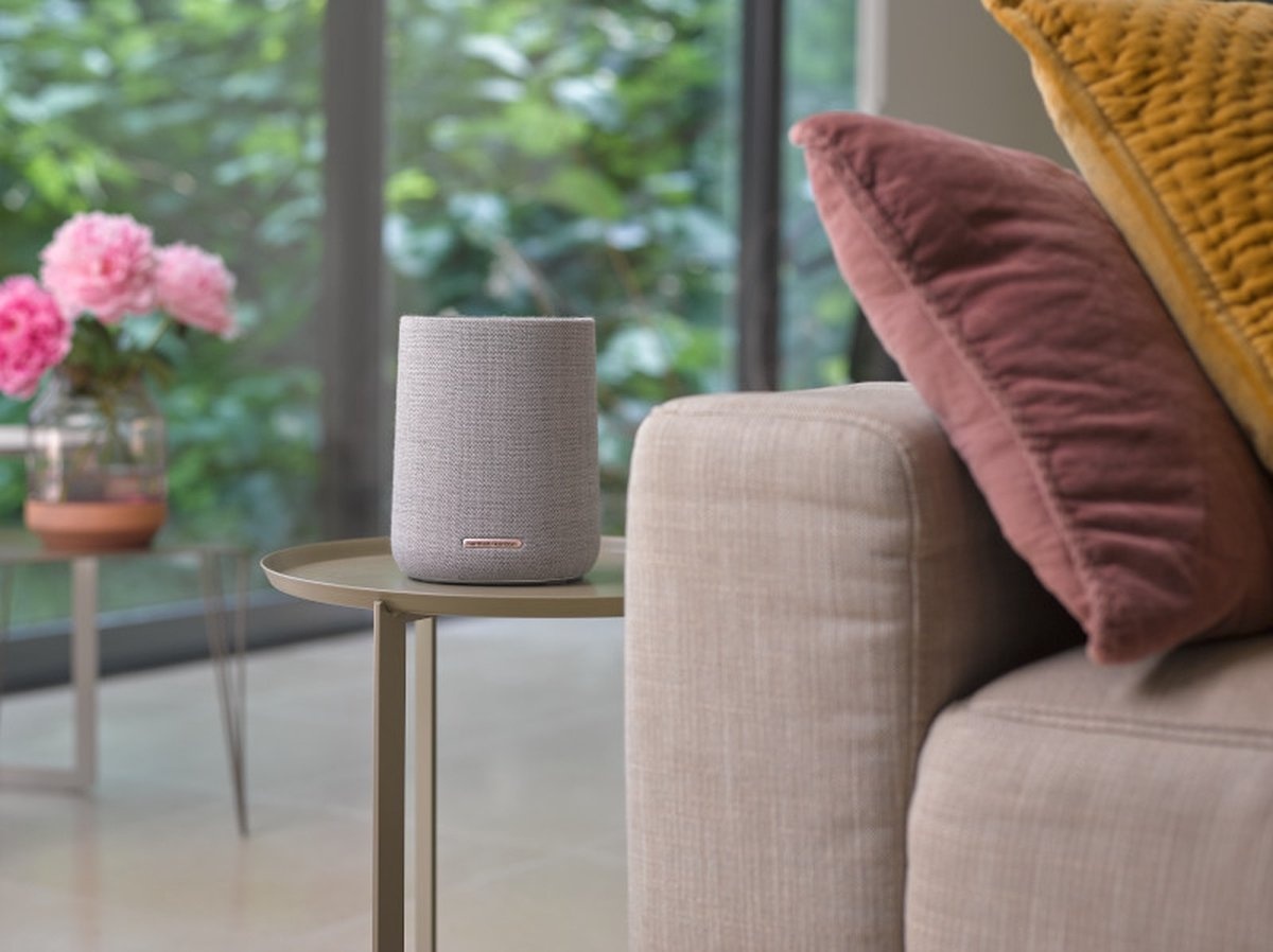 Harman Kardon Citation 100 MKII Grijs - Draadloze speaker