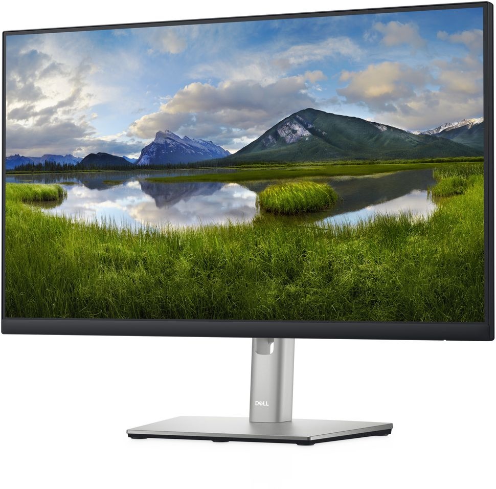 Dell P2422H - Monitor