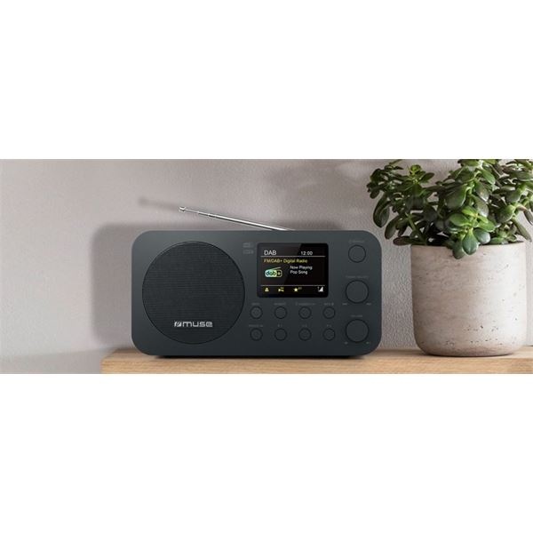 Muse M-128 DBT - Radio