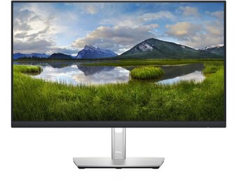 Dell P2422H - Monitor