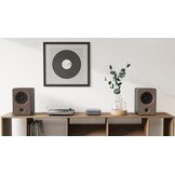 WiiM Amp Grijs - Versterker