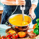 Ufesa Eclipse - Staafmixer