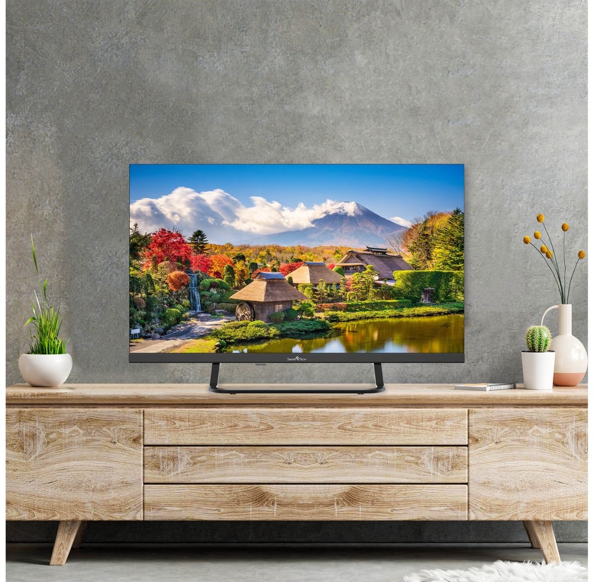 Smart Tech 24HN01V1C - LED TV