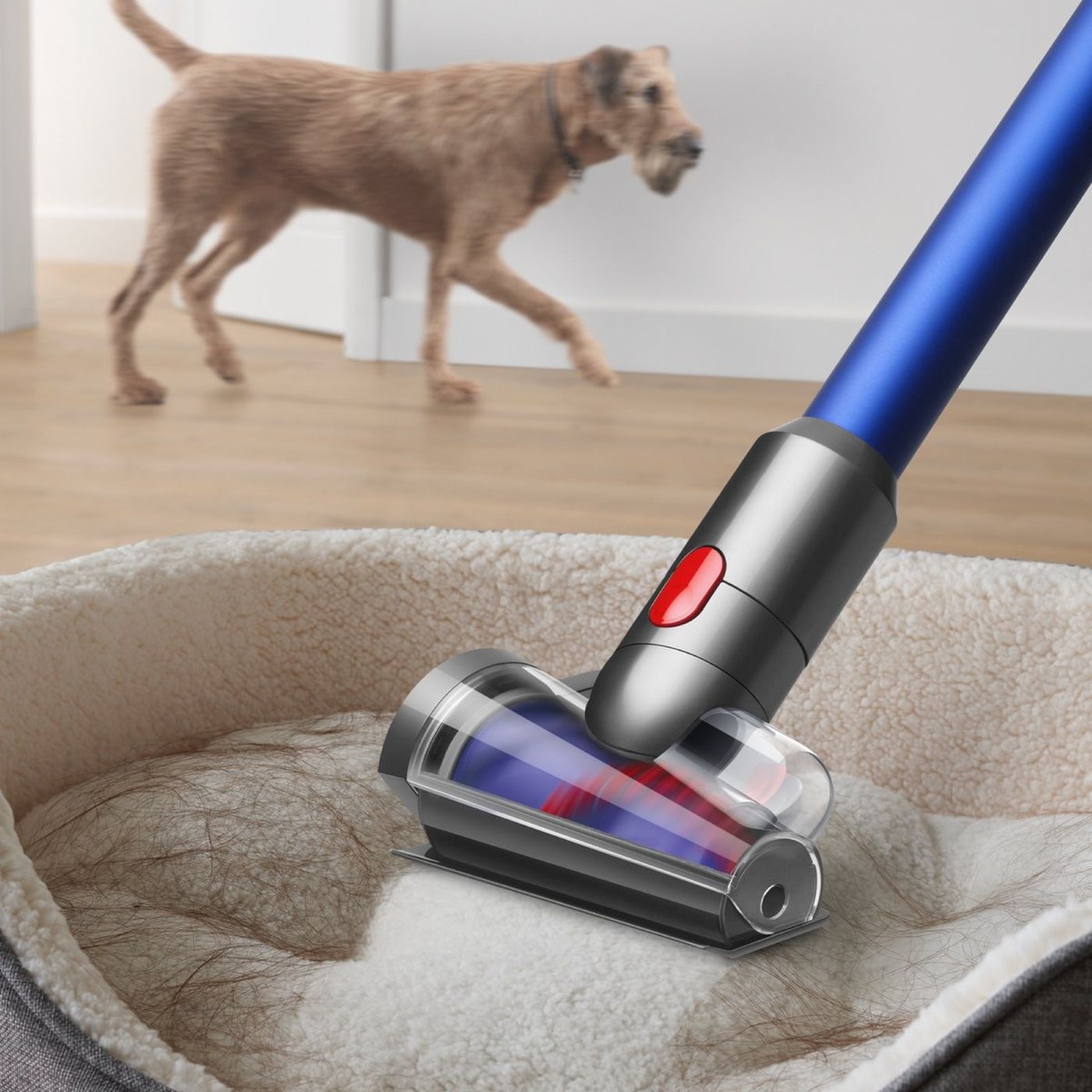 Dyson Advanced Cleaning Kit - Steelstofzuiger