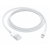 Apple Lightning to USB Cable 1 Meter