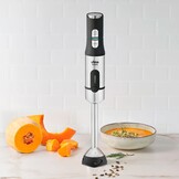 Ufesa Eclipse - Staafmixer
