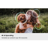 Samsung OLED 4K 55S85F (2025) - OLED TV