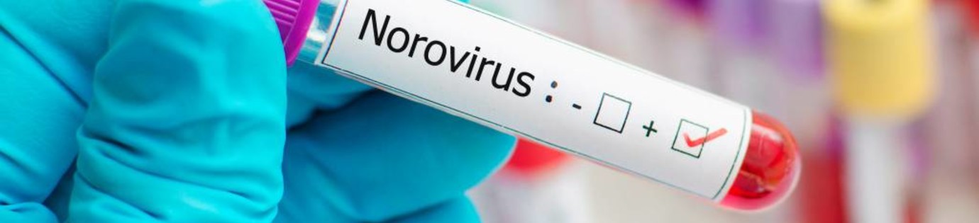 Norovirus? Wat nu? Hoe te handelen bij norovirus en buikgriep.