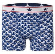  Underwunder Absorberend ondergoed boxershort jongen Monkey