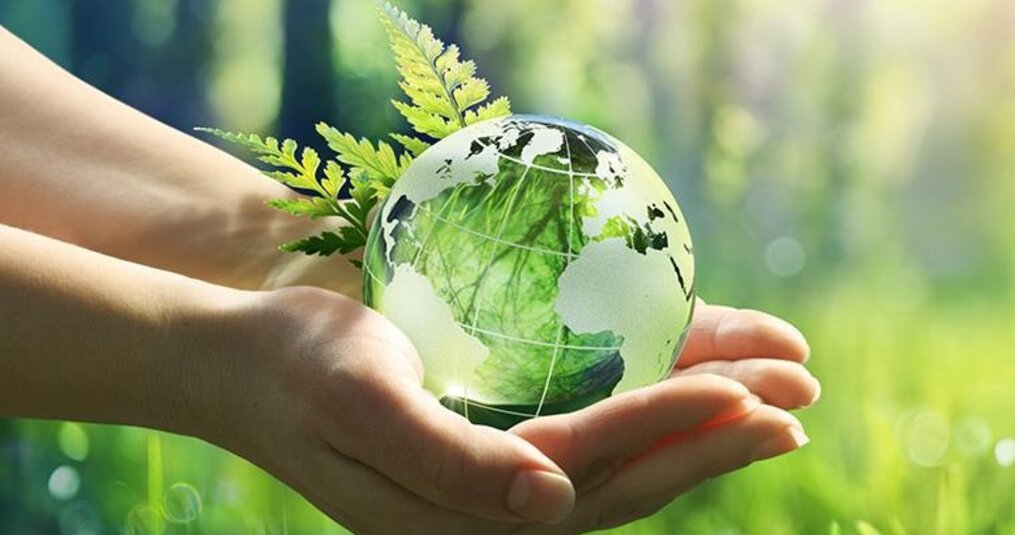 Nature Gloves: Duurzame Wegwerphandschoenen voor een Schone en Groene Zorgomgeving