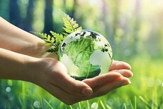 Nature Gloves: duurzame wegwerphandschoenen