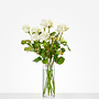 Witte rozen per stuk