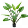 ALOCASIA GROEN 91 cm