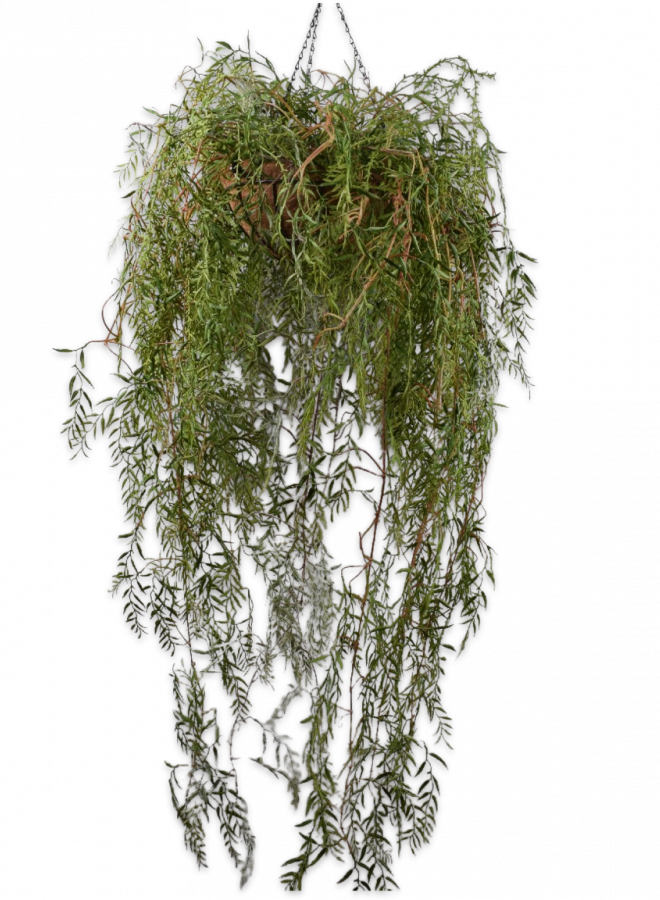 PLANT HANG GROEN 120 cm
