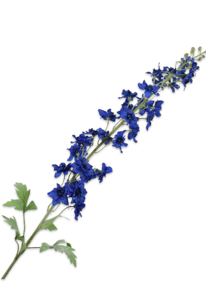 DELPHINIUM STEEL BLAUW 127 cm