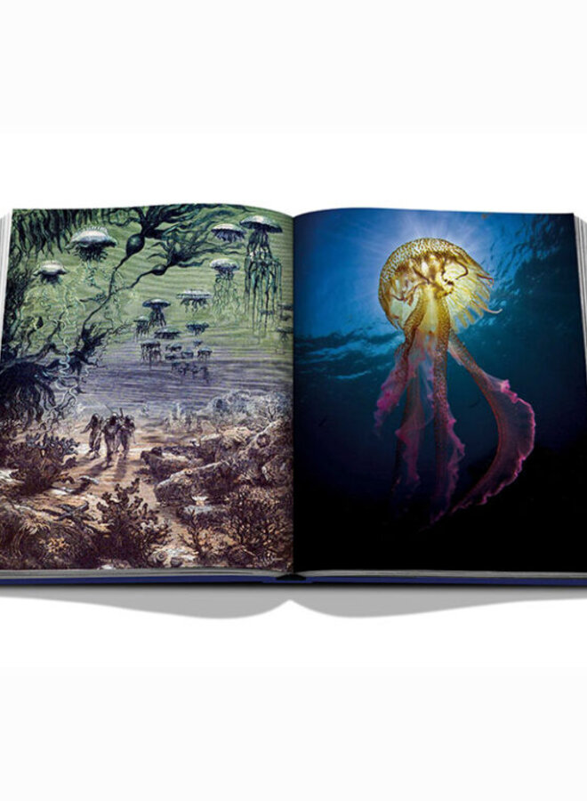 Assouline | Ocean Wanderlust