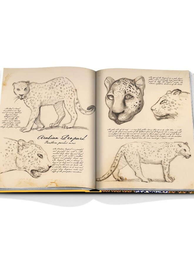 Assouline | Arabian Leopard  (Classic)