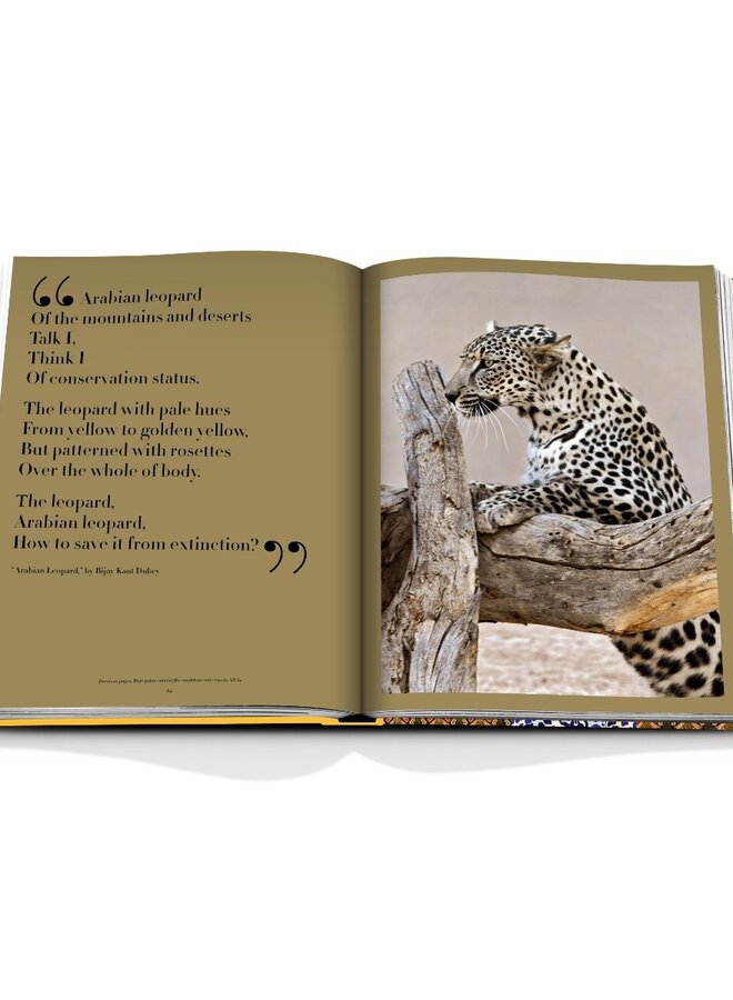 Assouline | Arabian Leopard  (Classic)