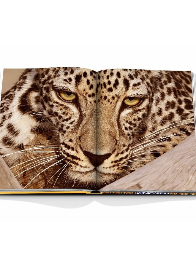 Assouline | Arabian Leopard  (Classic)