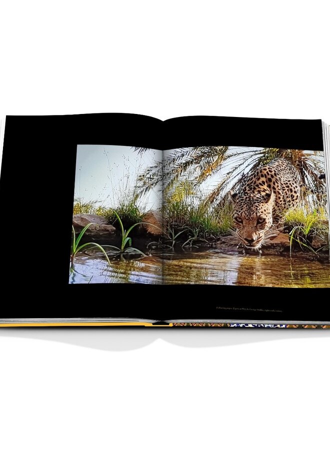 Assouline | Arabian Leopard  (Classic)