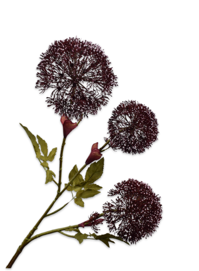 BERENKLAUW TAK BORDEAUX 90 cm