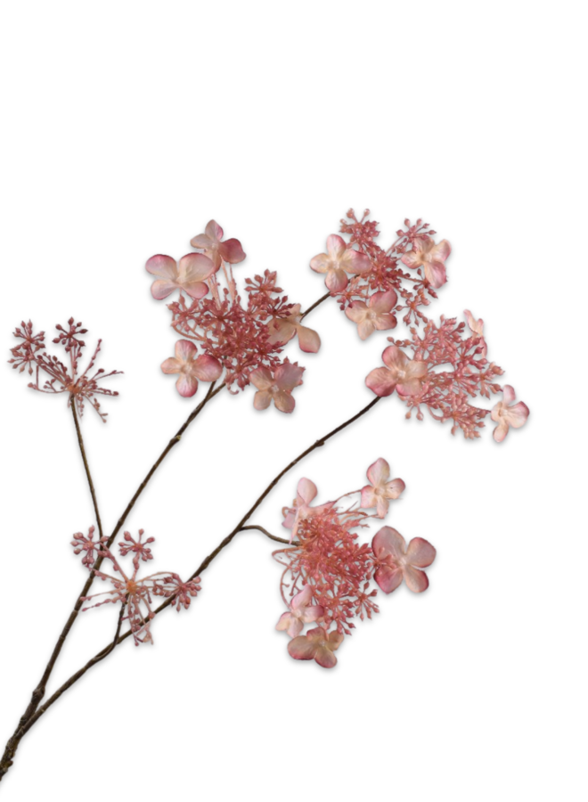 HORTENSIA TAK CR/ROZ RT 94 cm