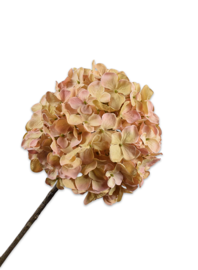 HORTENSIA STEEL PZK/GRN 70 cm