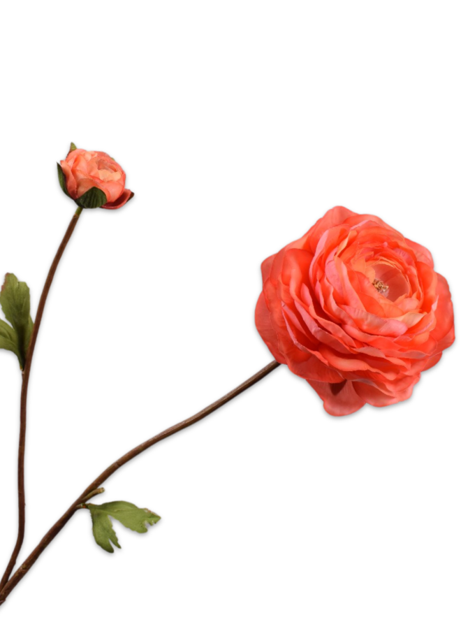 RANONKEL TAK ORANJE RT 65 cm