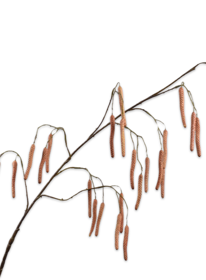 WILGENTAK  BRUIN 130 cm
