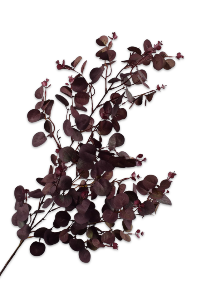 EUCALYPTUS TAK BORDEAUX