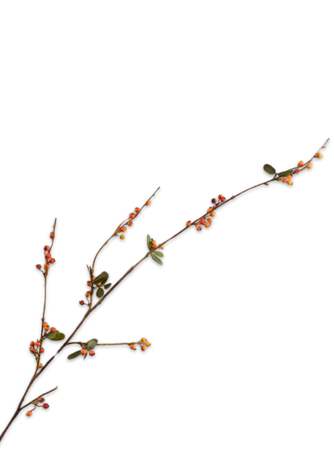 BESSENTAK  ORA/RD 124 cm