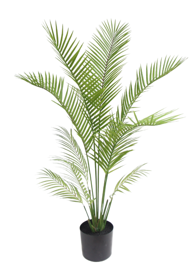 PALM PLANT GROEN 120 cm