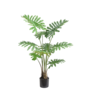 PHILODENDRON PLANT GROEN 115cm