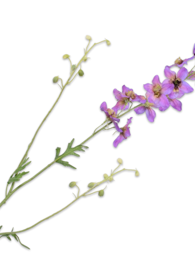 DELPHINIUM TAK PAARS 101 cm