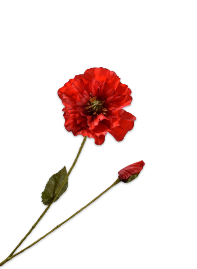 KLAPROOS TAK ROOD 74 CM