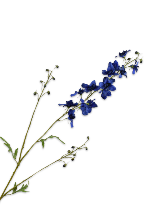 DELPHINIUM TAK BLAUW 101 CM