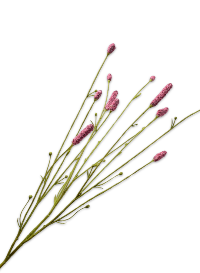 PIMPERNEL TAK ROZE 84 CM