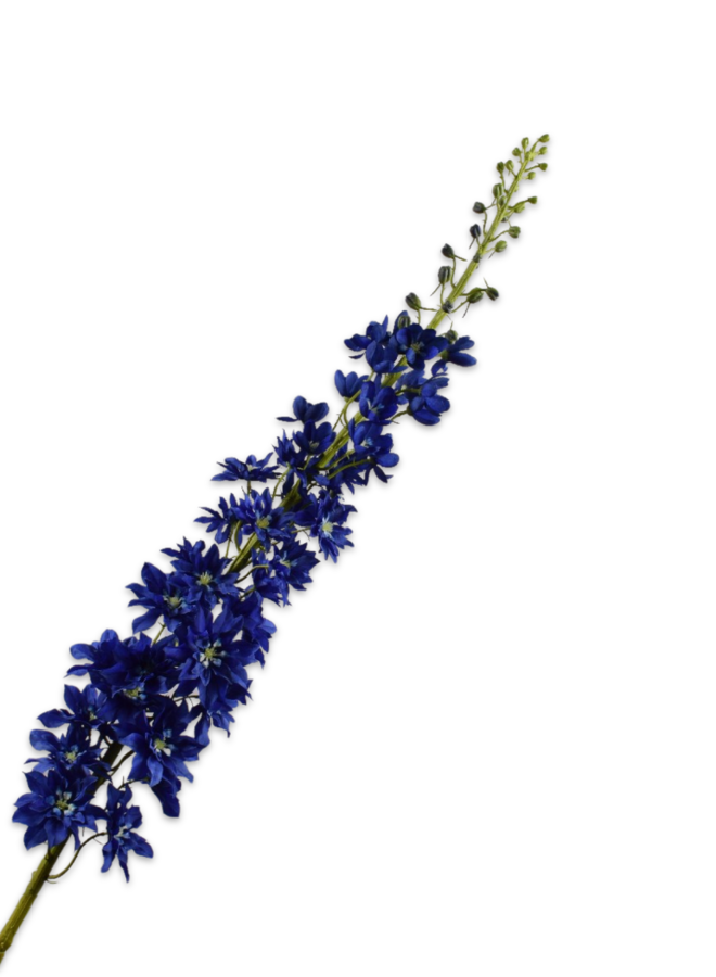DELPHINIUM STEEL DONKERBLAUW 135 CM