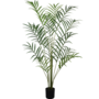 Palm plant 210cm