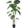 Monstera boom 150cm
